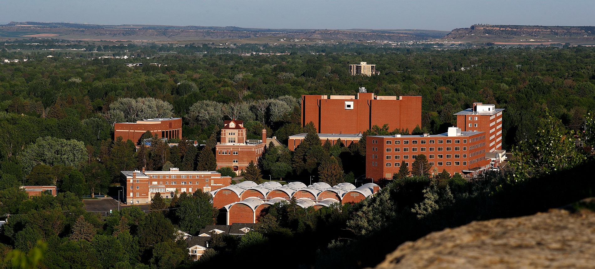 montana state university billings virtual tour