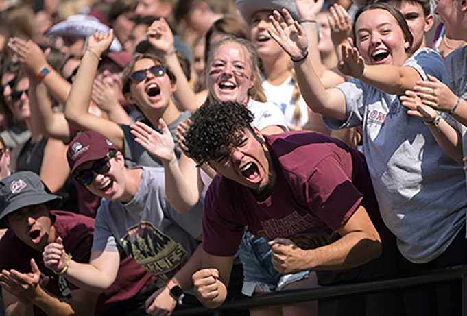 Crowd at football game