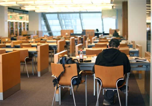 Student studying in library