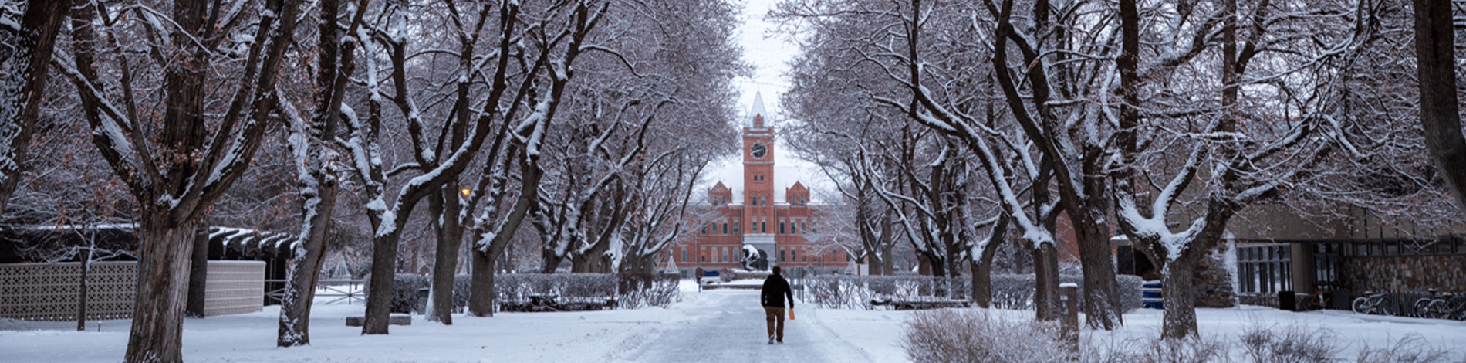 University of Montana  Public Flagship in Missoula