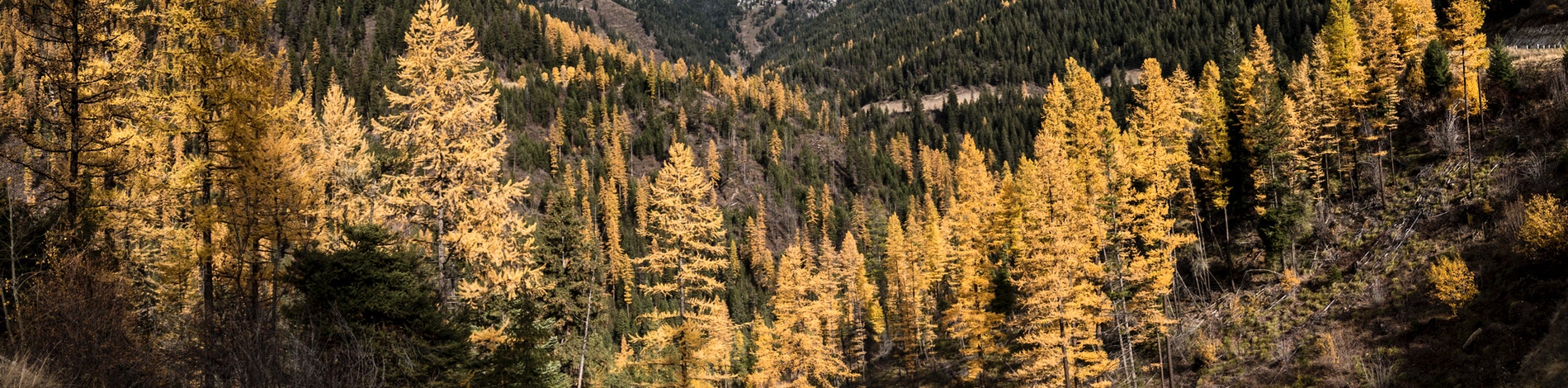 Missoula Mountains